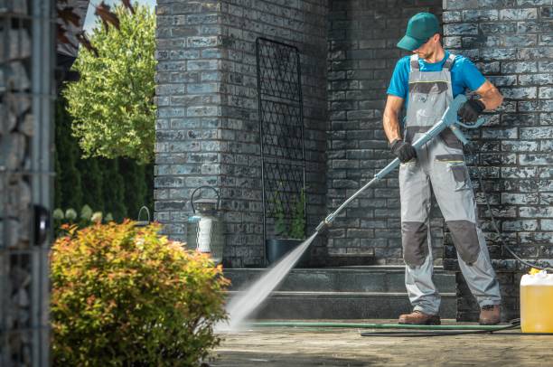 Best Patio and Deck Pressure Washing  in Kodi, AK