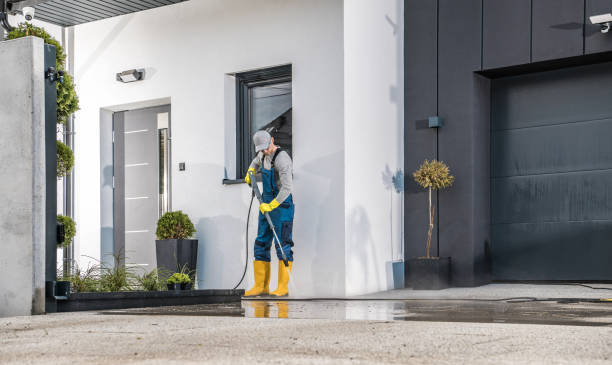 Best Soft Washing  in Kodi, AK